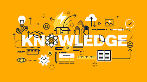 7 quick tips to improve knowledge management - Saffron Interactive