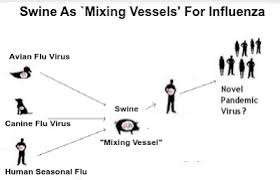 Avian Flu Diary: The CDC's Responds to the PNAS EA H1N1 `G4' Swine Flu Study