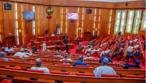 Senate seeks documents, N27bn PHCN pension probe begins – Punch Newspapers