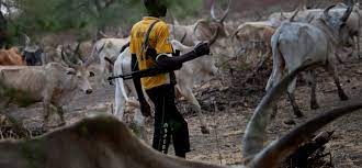 Curbing the menace of Herdsmen – Nigerian Observer